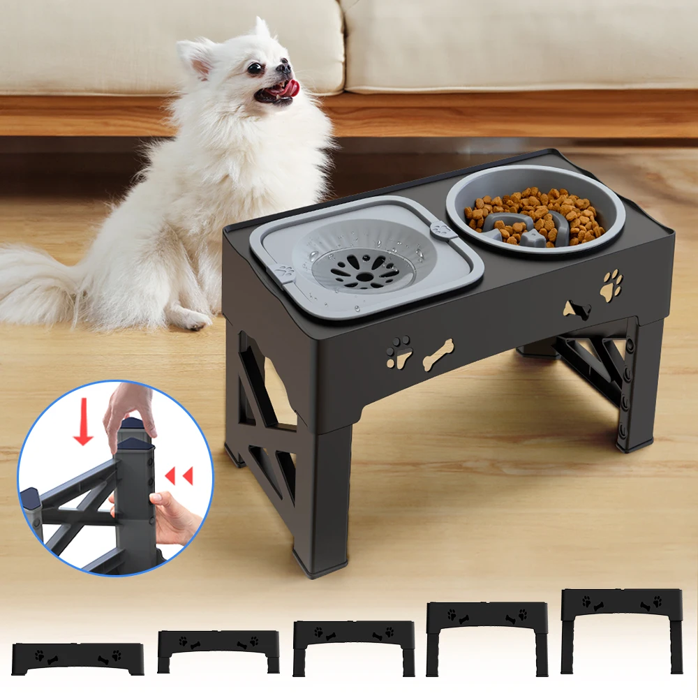 Pet usando o Comedouro Elevare 3 em 1 em ambiente domestico